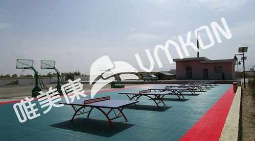 標(biāo)準(zhǔn)乒乓球場場地尺寸與戶外運(yùn)動(dòng)策劃指南